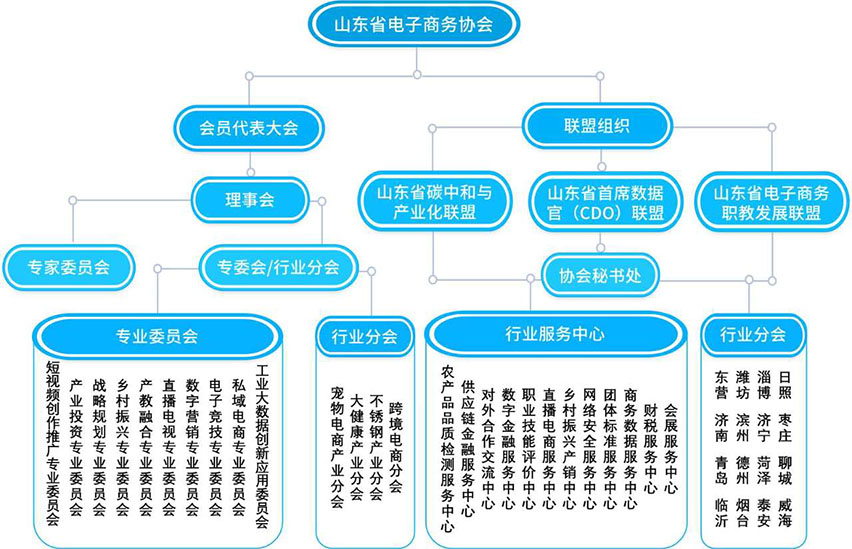 协会组织架构(1).jpg